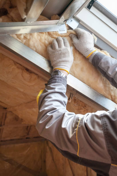 Best Eco-Friendly Insulation in East Los Angeles, CA