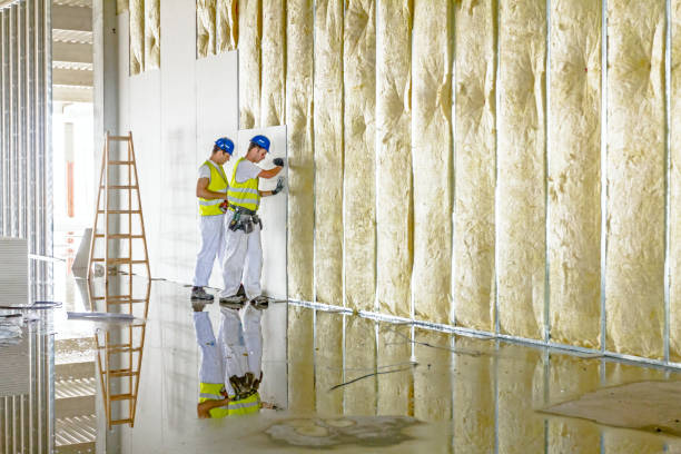 Professional Insulation Contractor in East Los Angeles, CA